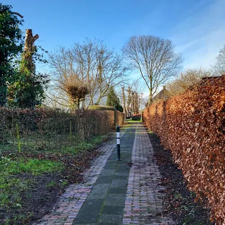 Doerpblick